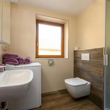 Apartment Zavetri Losina